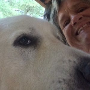 Meet your Posher, Sue